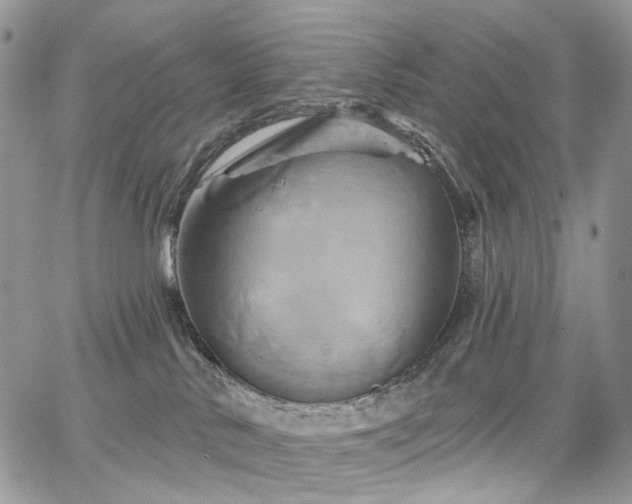 X0000068320042200604241350