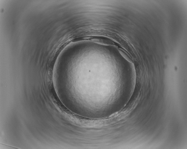 X0000068320044200604241350