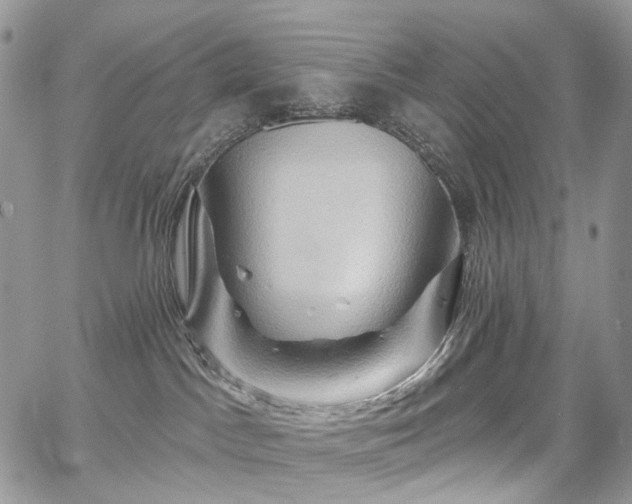 X0000068320045200604241350