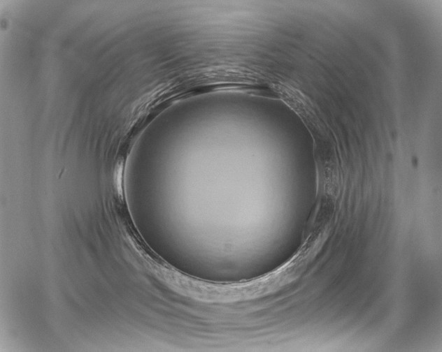 X0000068320047200604241350