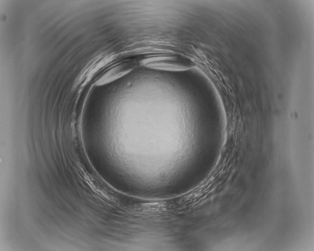 X0000068320050200604241349