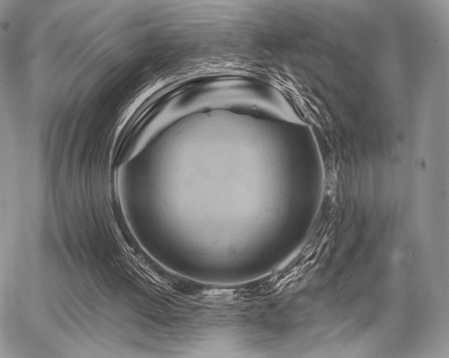 X0000068320052200604241349
