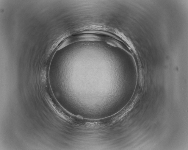 X0000068320057200604241349