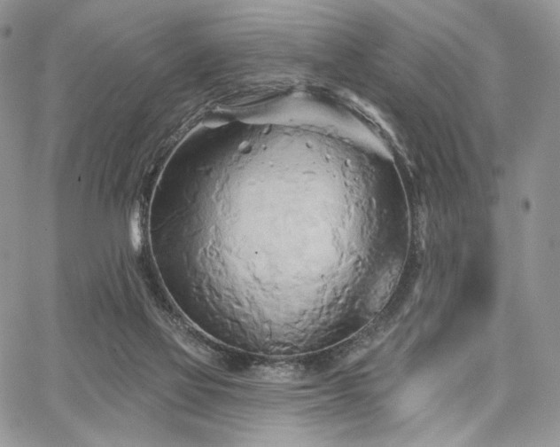X0000068320069200604241349