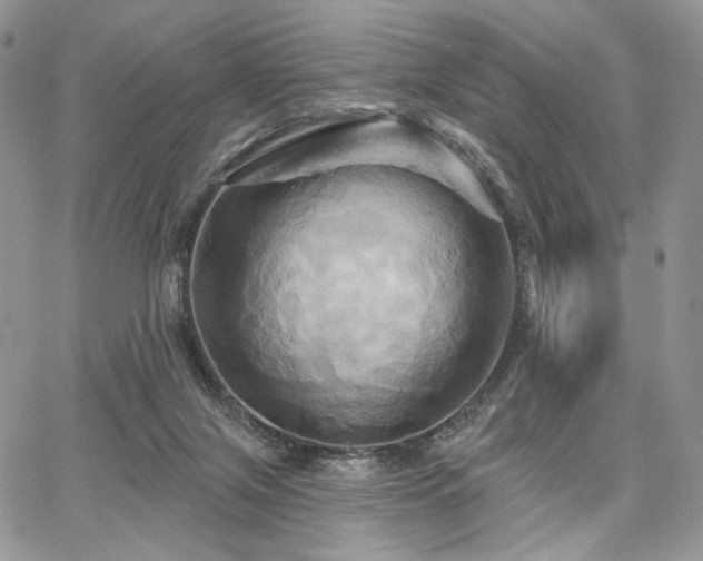 X0000068320071200604241349