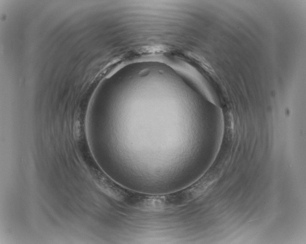 X0000068320080200604241349