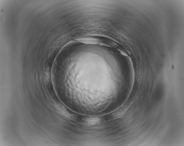 X0000068320085200604241349