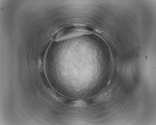 X0000068320087200604241349