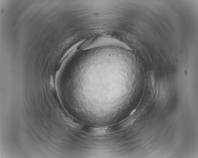 X0000068320089200604241349