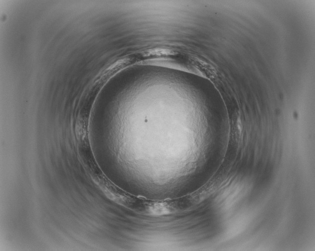 X0000068320091200604241350