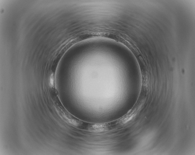 X0000068320095200604241350