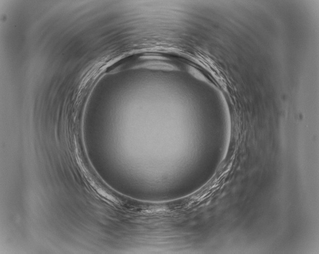 X0000068320097200604241349