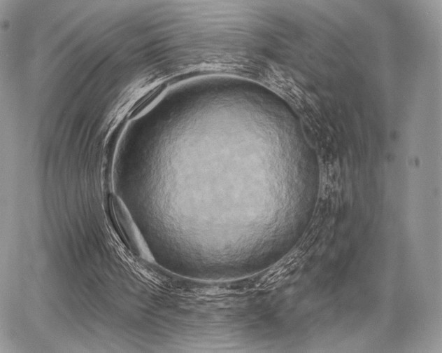 X0000068320098200604241349