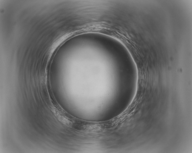 X0000068320100200604241349