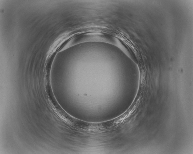 X0000068320101200604241349
