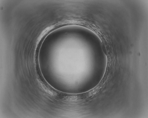 X0000068320104200604241349