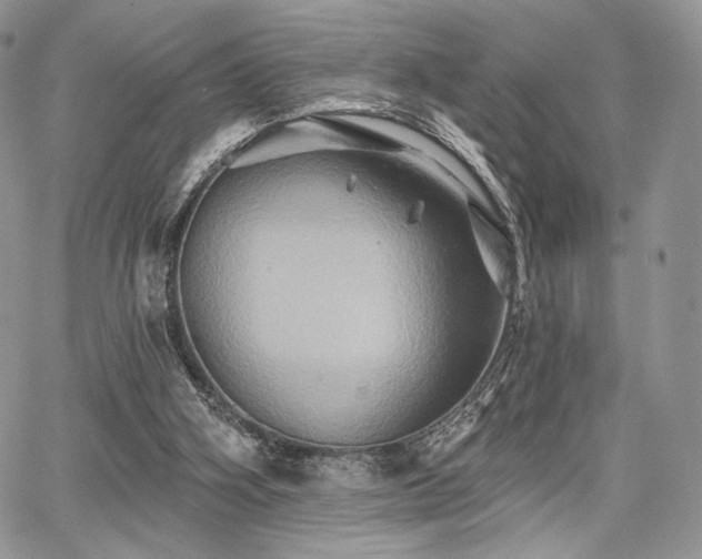 X0000068320106200604241349
