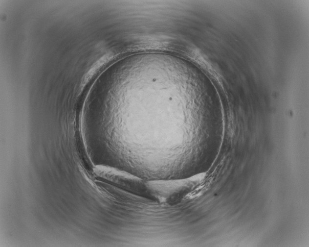 X0000068320107200604241349