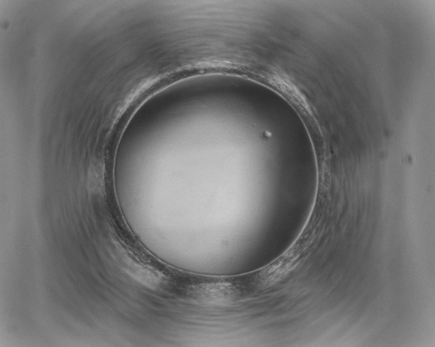X0000068320108200604241349