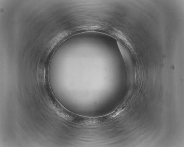 X0000068320110200604241349