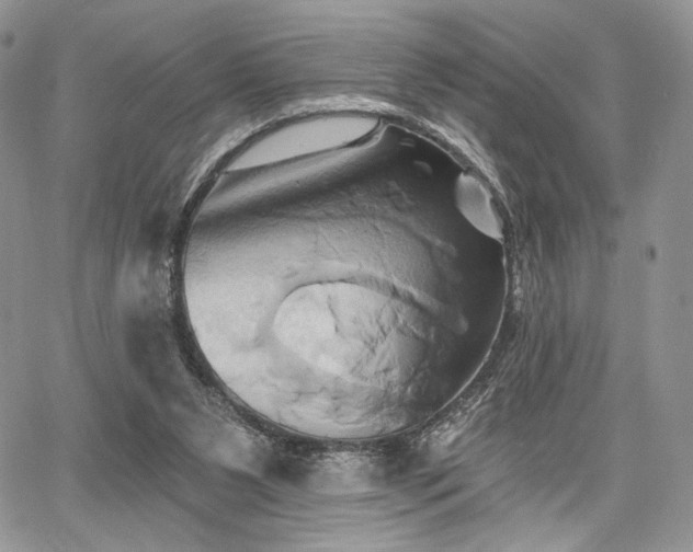 X0000068320111200604241348