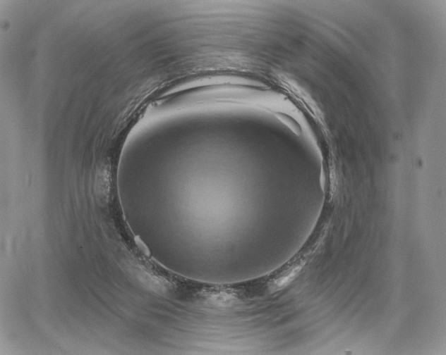 X0000068320113200604241348