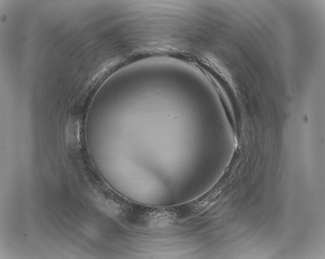 X0000068320115200604241348
