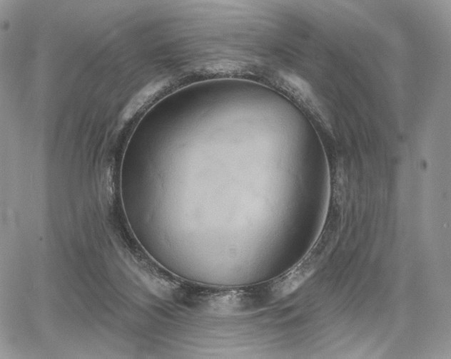X0000068320116200604241348