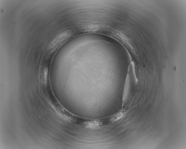 X0000068320118200604241348