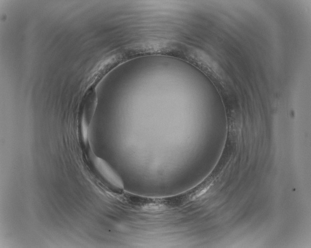 X0000068320119200604241348