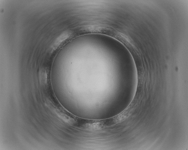 X0000068320120200604241348