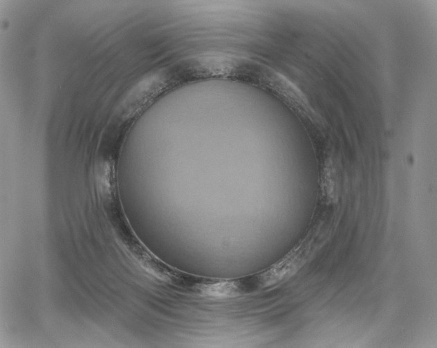 X0000068320122200604241348