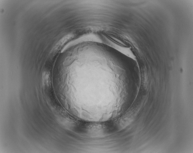 X0000068320123200604241348