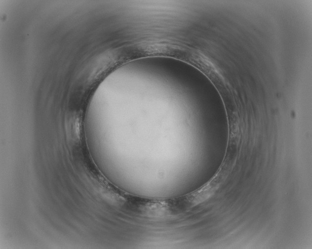 X0000068320124200604241348