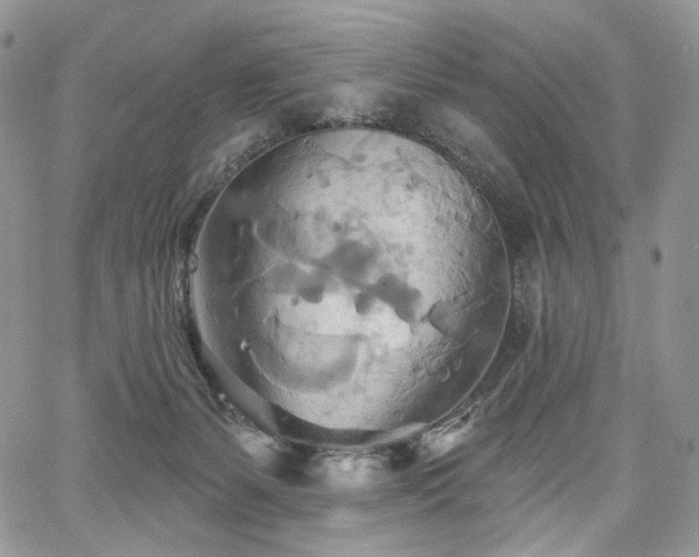 X0000068320127200604241348
