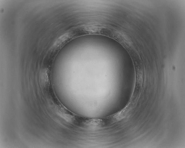 X0000068320128200604241348