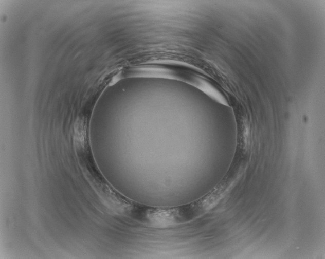 X0000068320129200604241348
