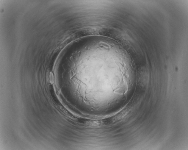 X0000068320131200604241348