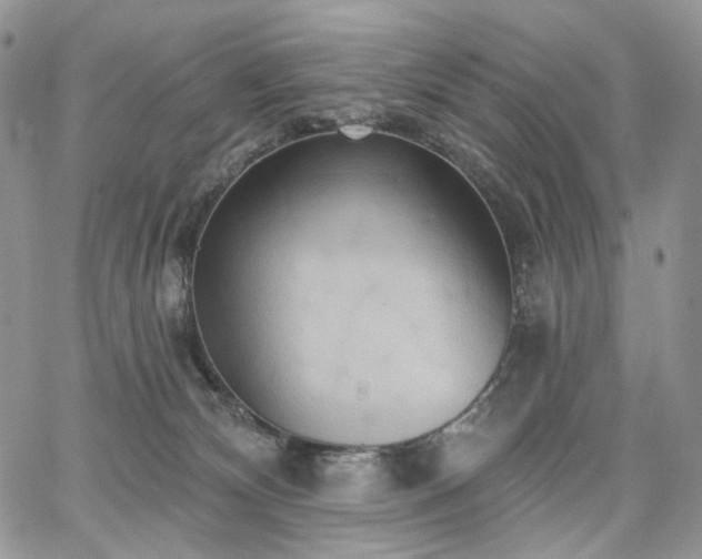 X0000068320132200604241348