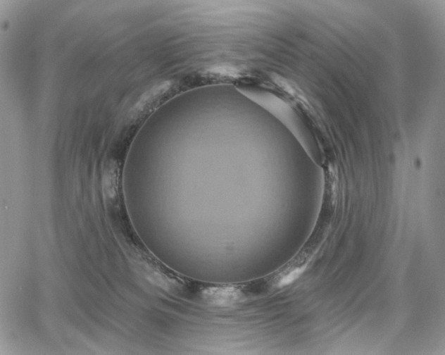 X0000068320133200604241348