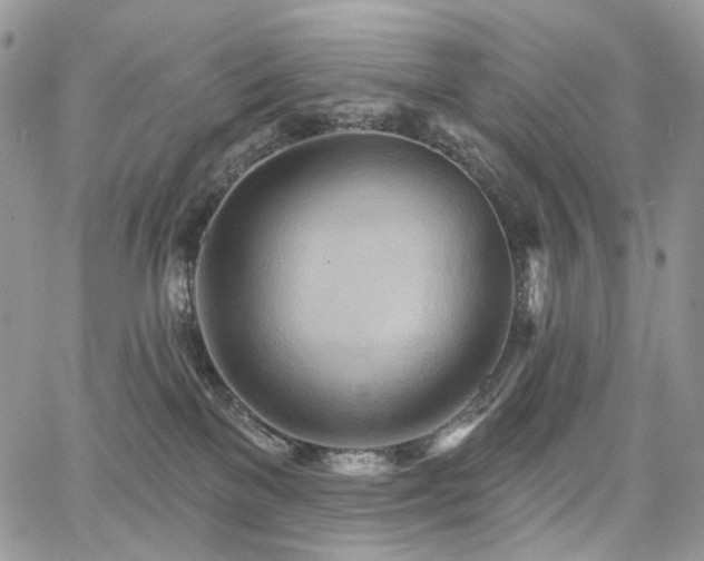 X0000068320137200604241348