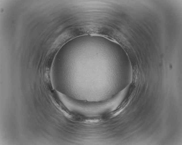 X0000068320141200604241348
