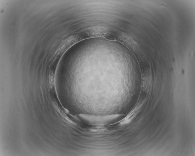 X0000068320142200604241348