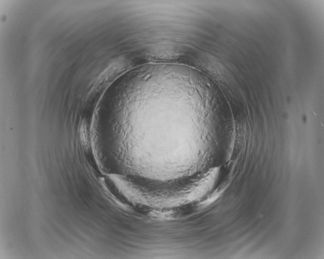 X0000068320143200604241348