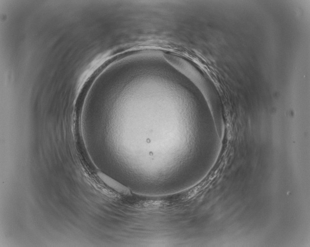 X0000068320152200604241347