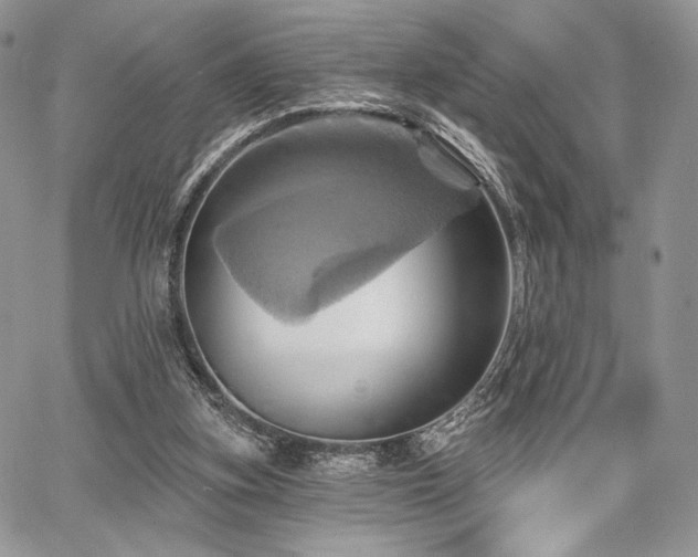 X0000068320155200604241347