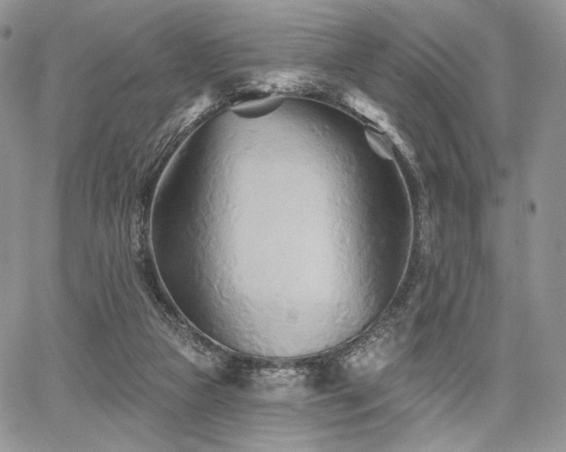 X0000068320161200604241347