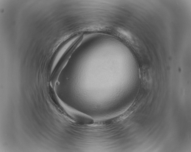 X0000068320164200604241347