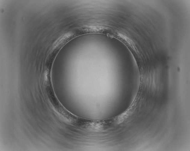 X0000068320166200604241347