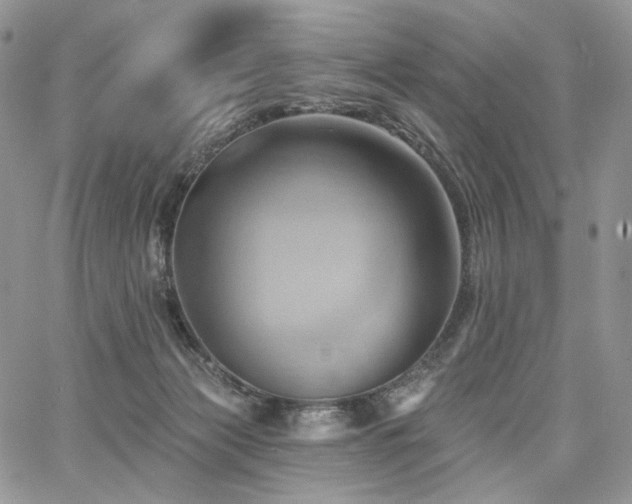 X0000068320173200604241348